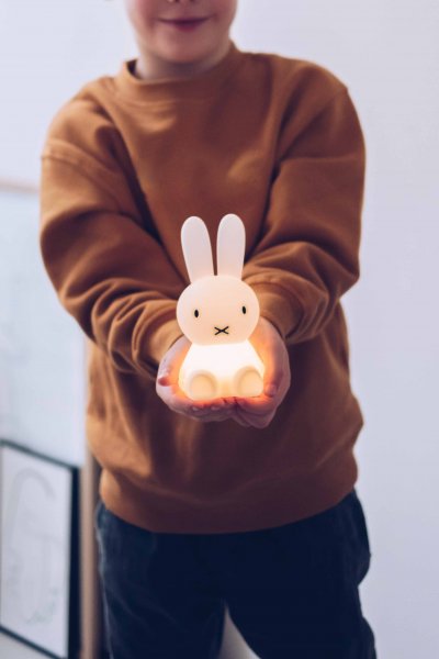 lr-bundle-miffy-01-mr-maria