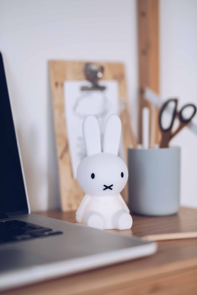 lr-bundle-miffy-02-mr-maria
