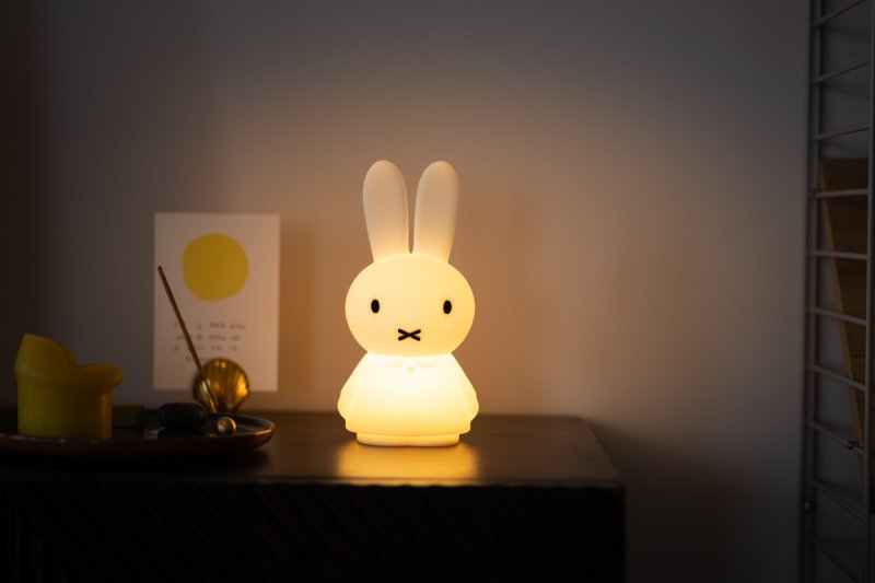 lr-mrmaria-miffyshines-01