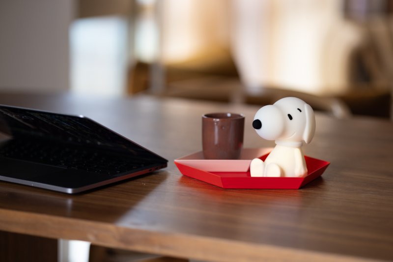 lr-mrmaria-bundleoflight-snoopy-01