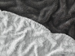 A22 Cocooning Amazon- AH23-C07 A22 Cocooning Amazon- AH23-C07