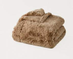 A41 "Aristochat Beige" AH22-P09 A41"Aristochat Beige" AH22-P09