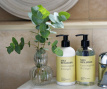 G Coffret cadeau Lavage des mains et du corps & Lotion Lemongrass& Ginger