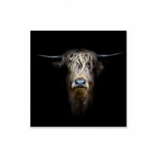 Wanddecoratie Highland koe Décoration murale vache des highlands